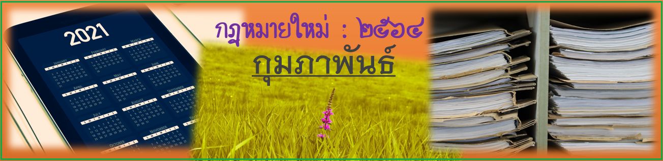 กฎหมายใหม่ เดือนกุมภาพันธ์ 2564