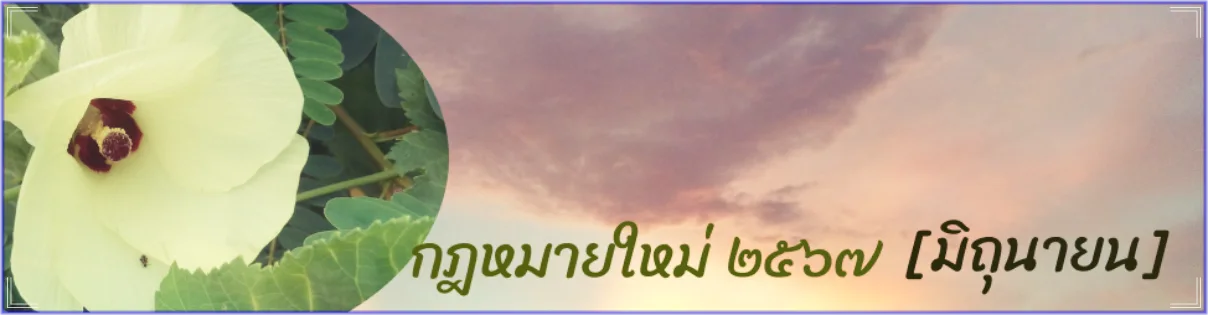 กฎหมายใหม่ มิถุนายน 2567